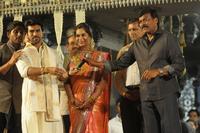 Ramcharan Reception for Mega Fans
